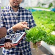 Hydroponic Farming Workshops