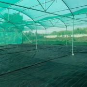 Shade Net House (Flat Roof)